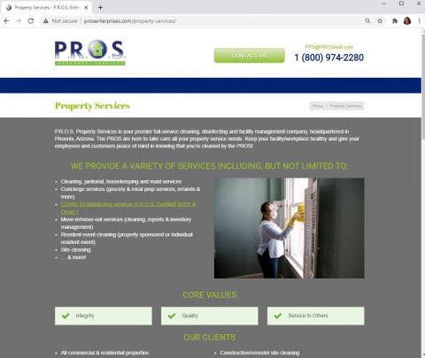 P.R.O.S. Property Services website