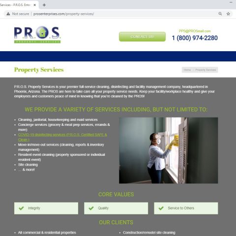 P.R.O.S. Property Services website